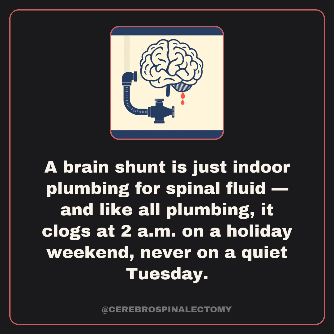 A brain shunt is just indoor plumbing for spinal fluid — and like all plumbing, it clogs at 2 a.m. on a holiday weekend, never on a quiet Tuesday.