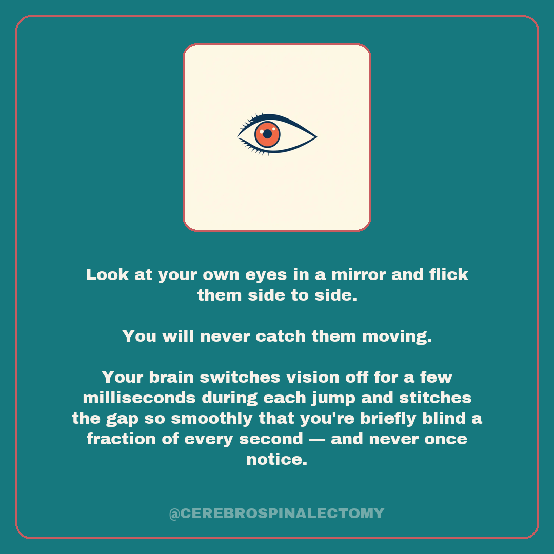 Look at your own eyes in a mirror and flick them side to side. You will never catch them moving. Your brain switches vision off for a few milliseconds during each jump and stitches the gap so smoothly that you're briefly blind a fraction of every second — and never once notice.
