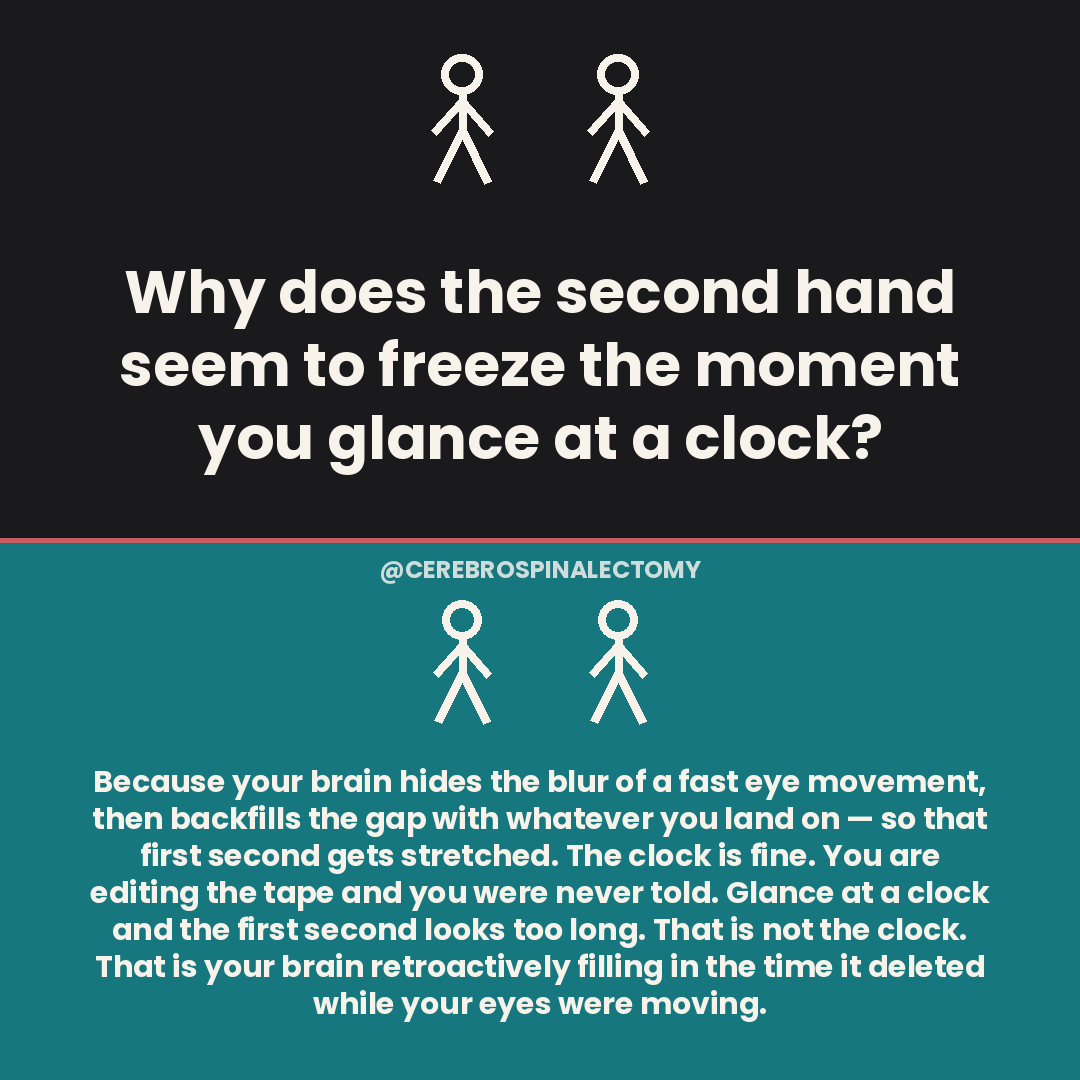 Why does the second hand seem to freeze the moment you glance at a clock?